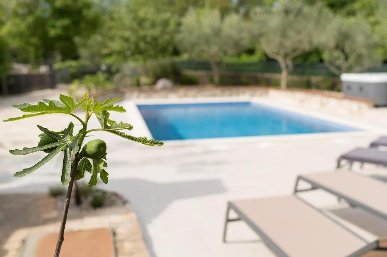 Stone Lady Holiday Home With Pool&Hot Tub,Sauna,Bbq,Garden Rasopasno